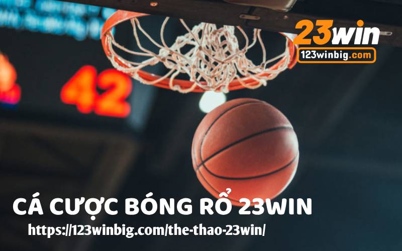 CA CUOC BONG RO 23WIN