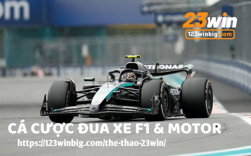 DUA XE 23WIN