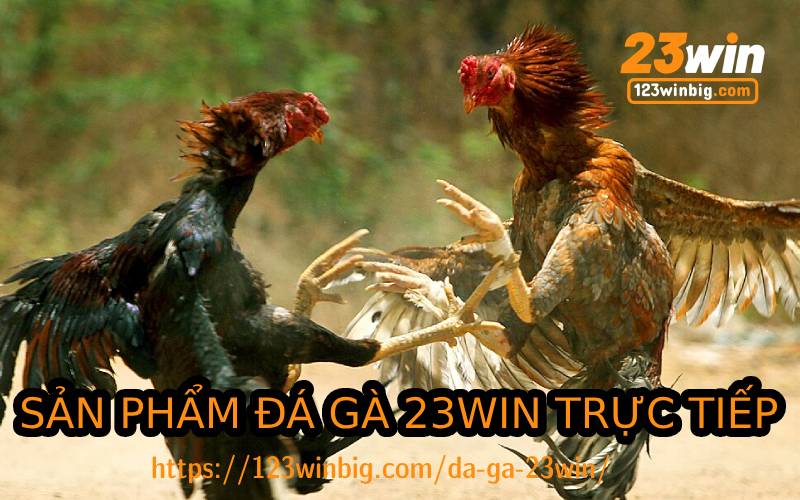 DA GA 23WIN