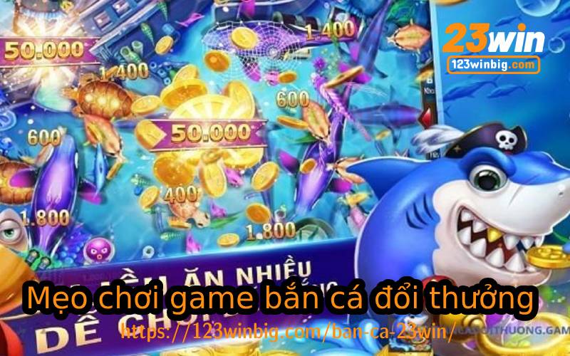 Những điều cần lưu ý khi chơi bắn cá tại 23WIN